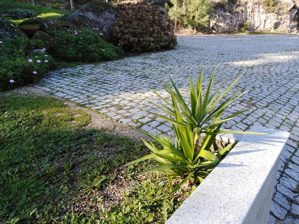 Quinta Souto Da Ordem - House Villa Castelo Novo Buitenkant foto