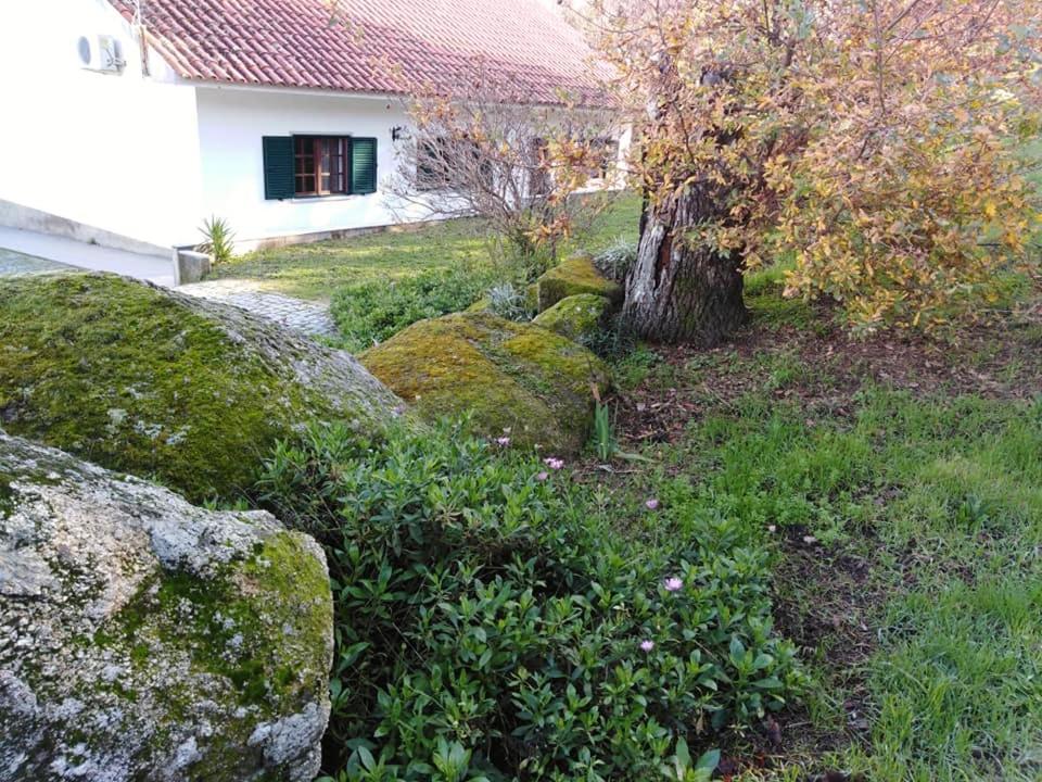 Quinta Souto Da Ordem - House Villa Castelo Novo Buitenkant foto