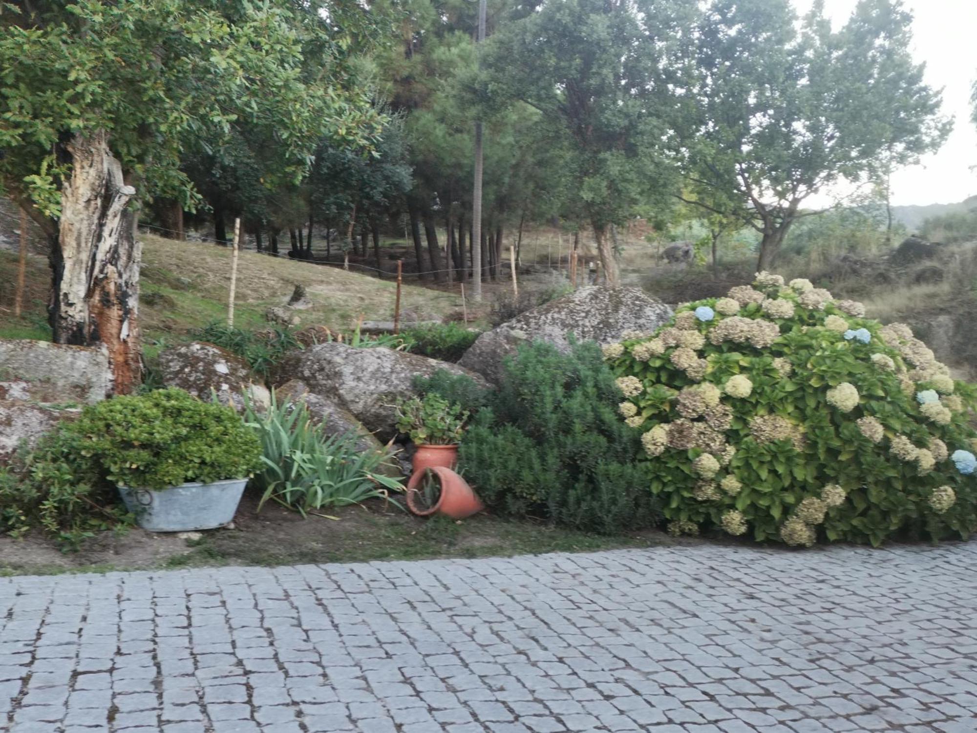 Quinta Souto Da Ordem - House Villa Castelo Novo Buitenkant foto